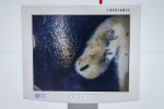 Zestaw endoskopowy Wolf 5520 laryngologiczny - obrazek 5