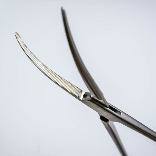 Kleszczyki preparacyjne Aesculap BJ026R 23 cm zagięte (31/8) - Arestomed