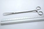 Kleszczyki Schroeder-Brown 24 cm Ostre (27/10) - Arestomed