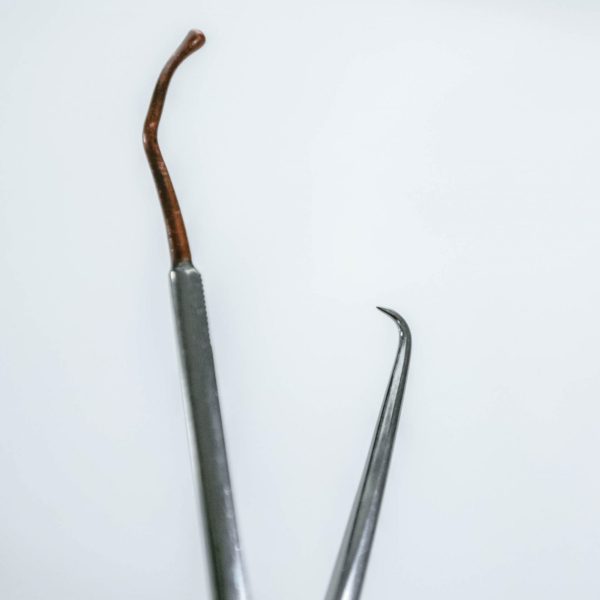 Kleszczyki ginekologiczne Hulka 27 cm (27/29) - Arestomed