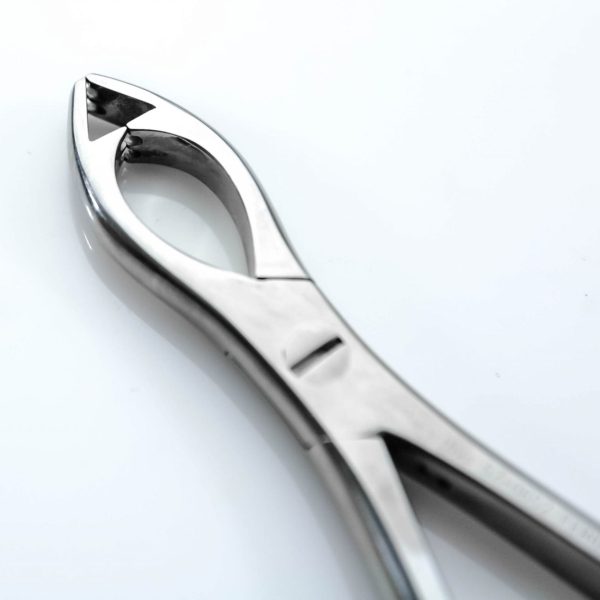 Kościotrzymacz Fergusson 17 cm Macarthys (17/31) - Arestomed