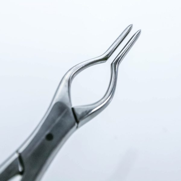 Kleszcze Walsham do przegrody nosowej 23 cm (28/36) - Arestomed