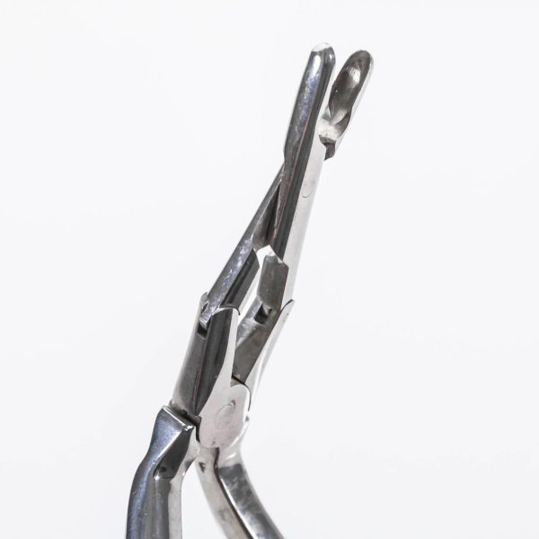 Kleszcze przegrodowe Jensen-Middleton 6 cm (13/10) - Arestomed