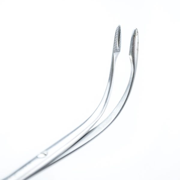 Kleszcze chirurgiczne Karl Storz 19cm (58/2)