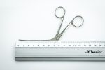 Kleszczyki uszne McGee Rudischhauser (61/28)
