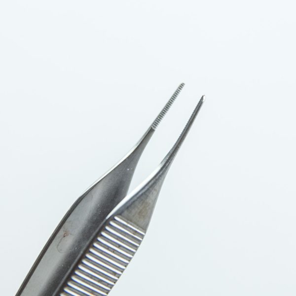 Pęseta anatomiczna Seward 12 cm (71/3) 
