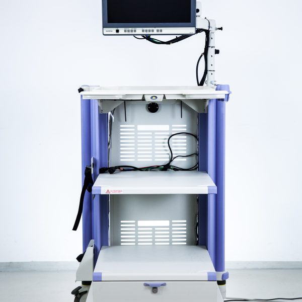 Olympus WM-WP1 Wózek Endoskopowy Medyczny + Monitor Olympus OEV191
