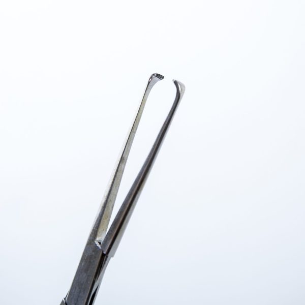 Kleszczyki Seward Allis Zęby 5x4 Proste 15,5 cm (90/31)