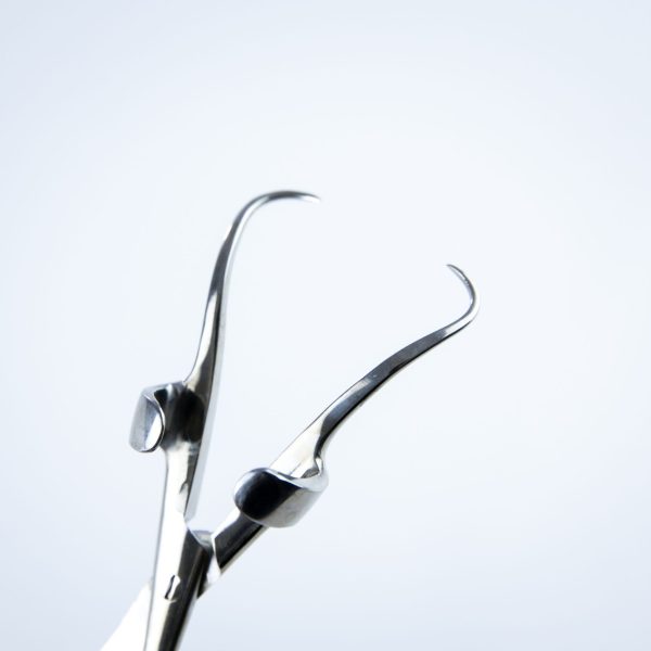 Spinak Robin 14 cm z uchwytem Backhaus (100/40)
