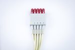 Philips M1978A Kabel EKG Dołączeniowy 5-odprowadzeniowy Klamra - obrazek 3